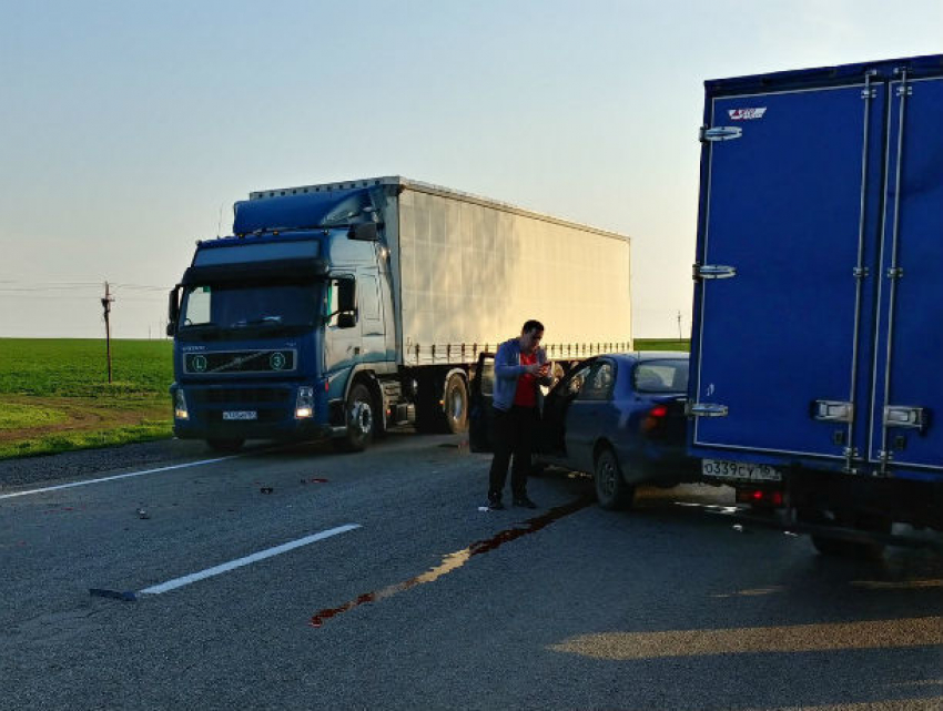 Злая собака едва не угробила водителей двух автомобилей, устроив ДТП под Ростовом