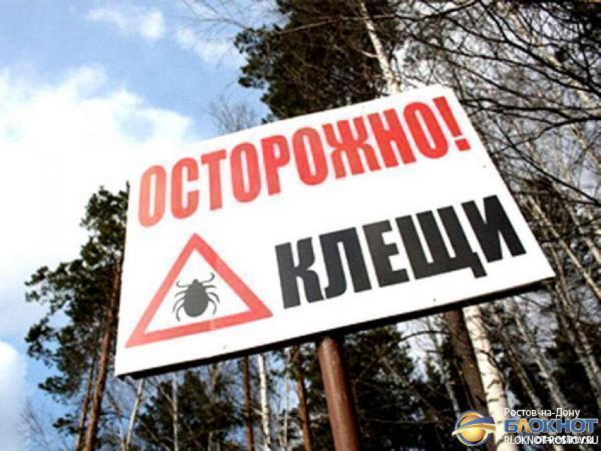 В Ростовской области почти 50 человек заболели Крымской геморрагической лихорадкой 