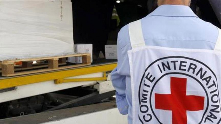 Международный Красный Крест хочет открыть офис в Ростове-на-Дону