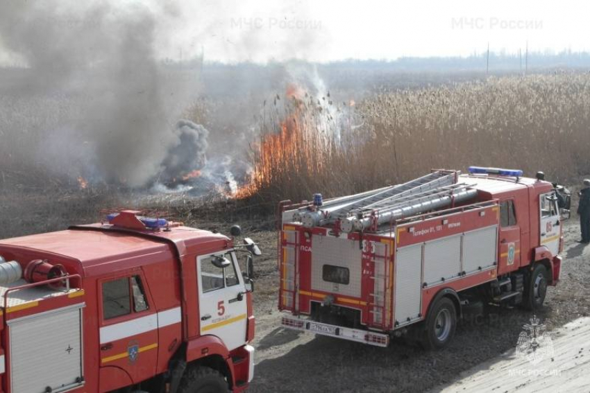 В Ростовской области проводят плановые выжигания травы