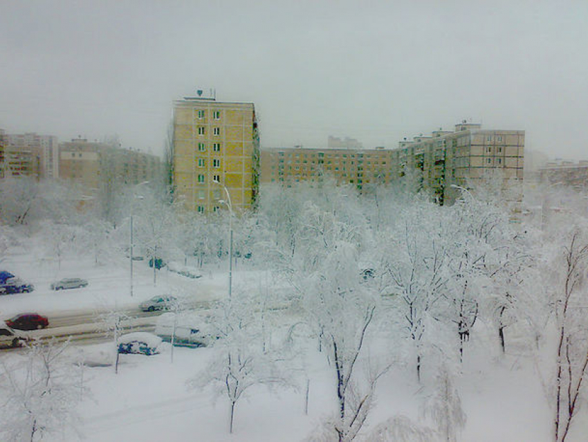 Прогноз на 4 января: зимний день в Ростове