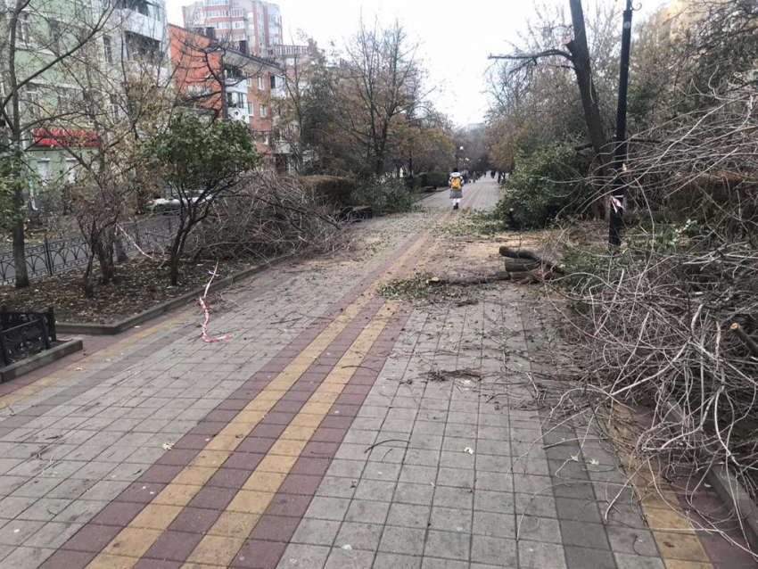 В Ростове на Пушкинской вырубили часть деревьев