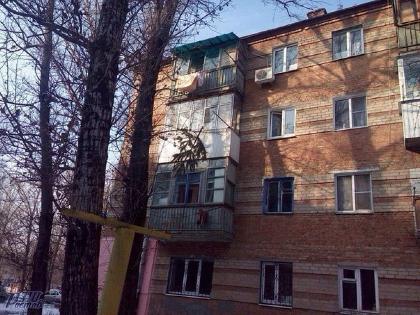 Ростовчане выкидывают сосны с балконов многоэтажек