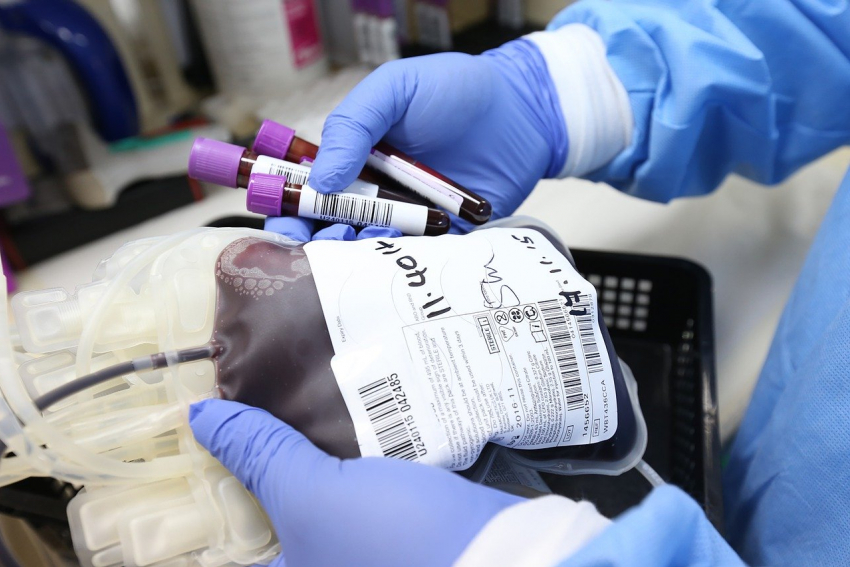 Количество доноров в Ростовской области сократилось на 20% из-за коронавируса