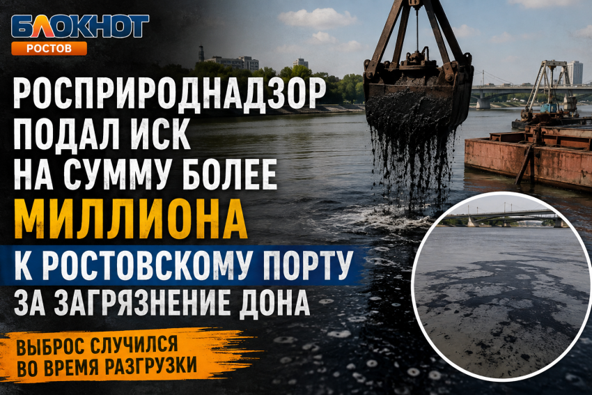 Росприроднадзор подал иск на сумму более миллиона к ростовскому порту за загрязнение Дона