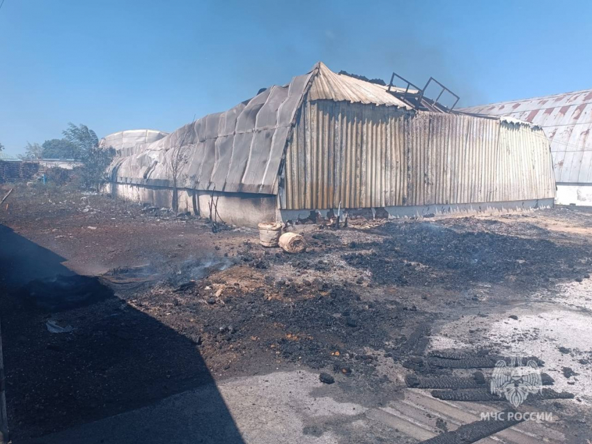 В Ростовской области потушили пожар в маслоцехе