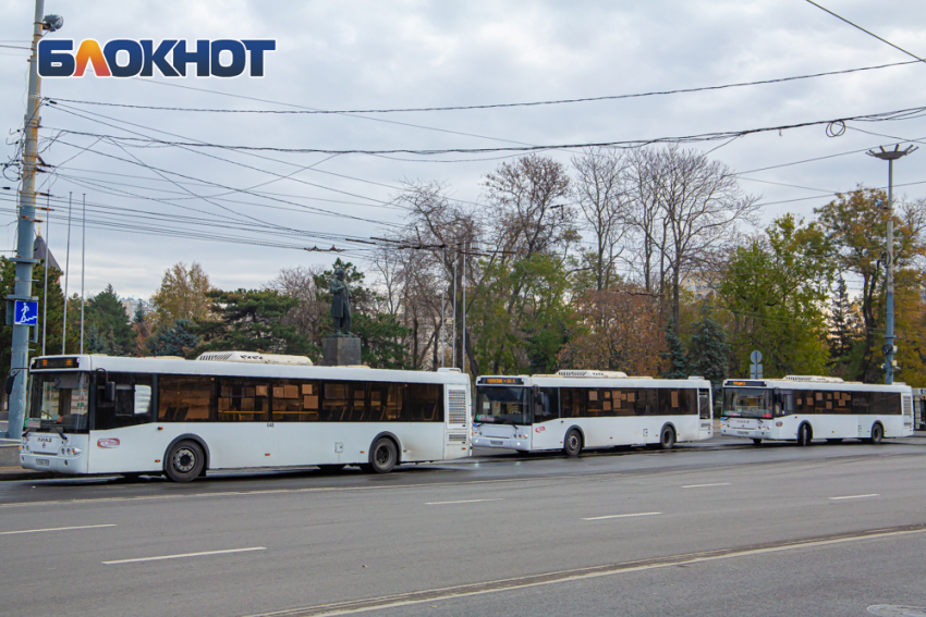В работе ростовского транспорта нашли нарушения 