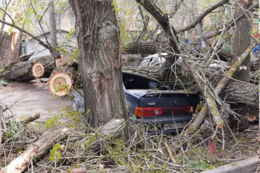 В Ростове рухнувшее дерево повредило четыре машины