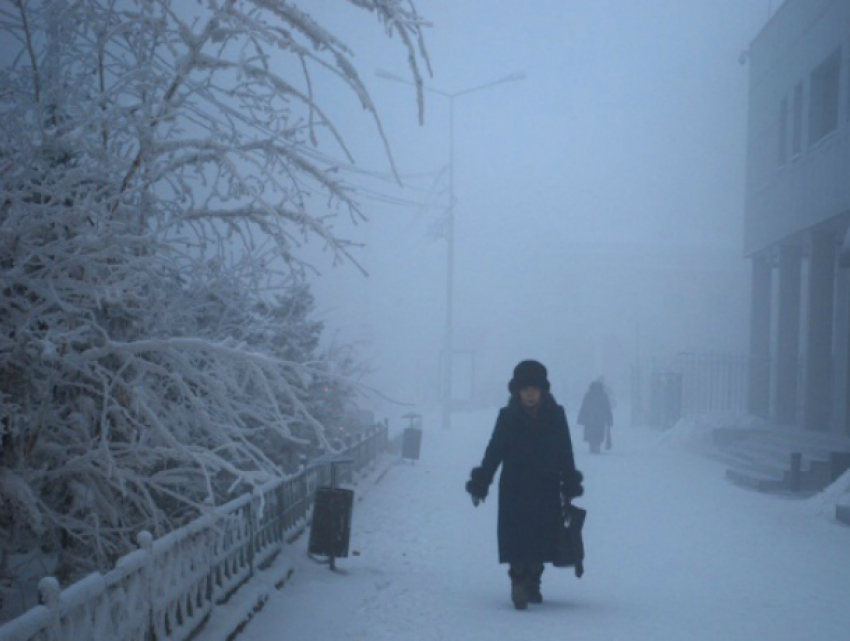 Обложной снег и замерзающий туман сделают опасным движение по дорогам Ростова на выходных