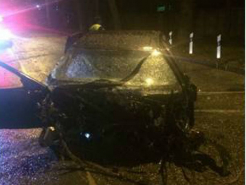 Водитель и пассажир погибли на месте ДТП в Ростове: Mercedes врезался в дерево