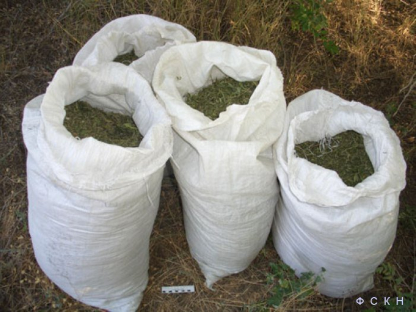 Житель Константиновска пытался продать 6 мешков  марихуаны