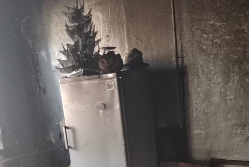 В Ростовской области из полыхающего дома спасли супругов 