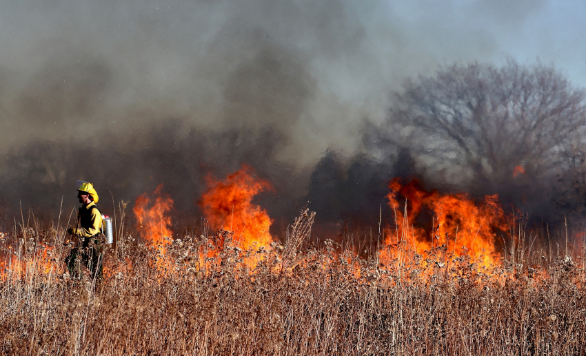 Число лесных пожаров в ЮФО увеличилось за год более чем на 20%