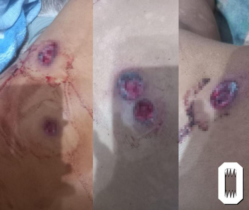 За массовое нападение на участника СВО в Батайске мужчина получил 10 лет строгого режима 