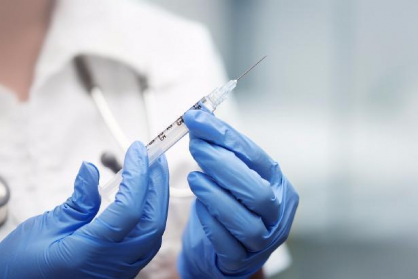 Более полумиллиона доз вакцину от бешенства поставят в Ростовскую область