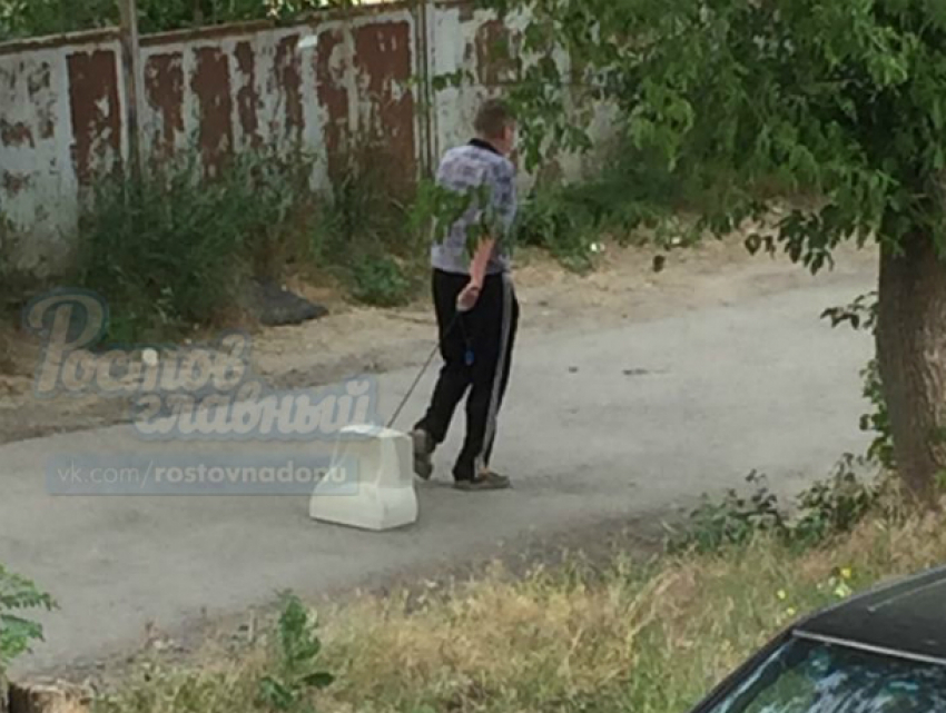 Выгуливающий ЭЛТ-монитор «на поводке» мужчина рассмешил и озадачил жителей Ростова
