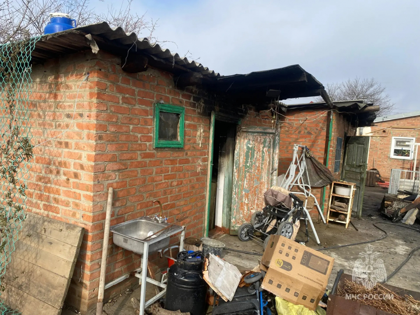 Собака спасла семью от пожара в гараже и бане в Ростовской области 