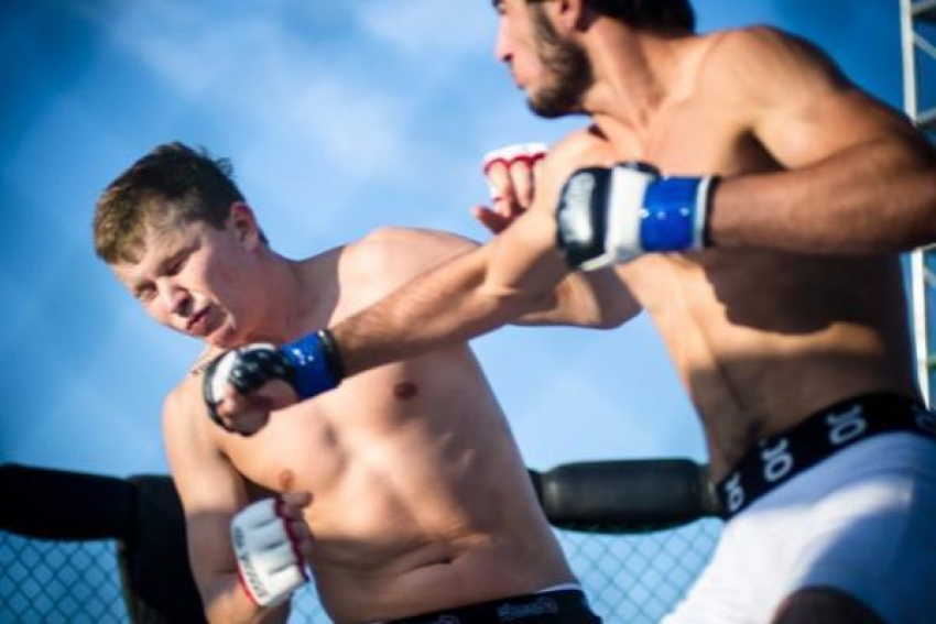 Смешанное боевое единоборство будут развивать в Ростове