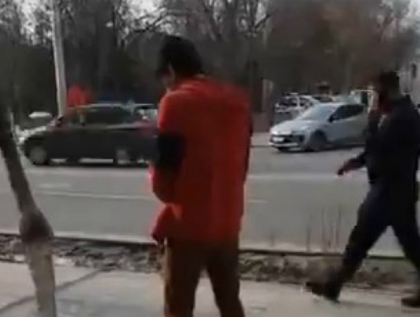 «Удобряющий» деревья в центре Ростова парень со спущенными штанами возмутил горожан на видео