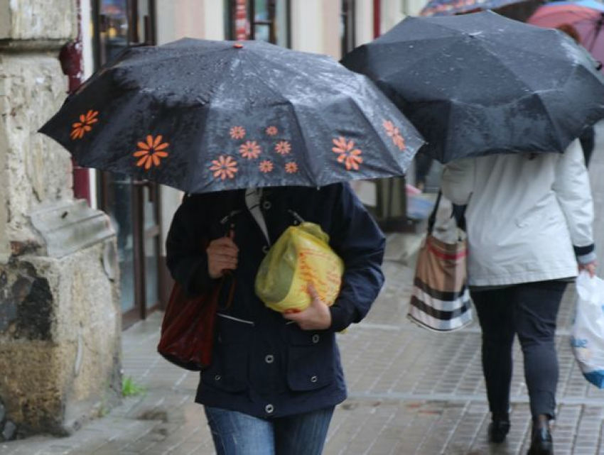 Весь день дождь и ветер: четверг не лучше среды в Ростове