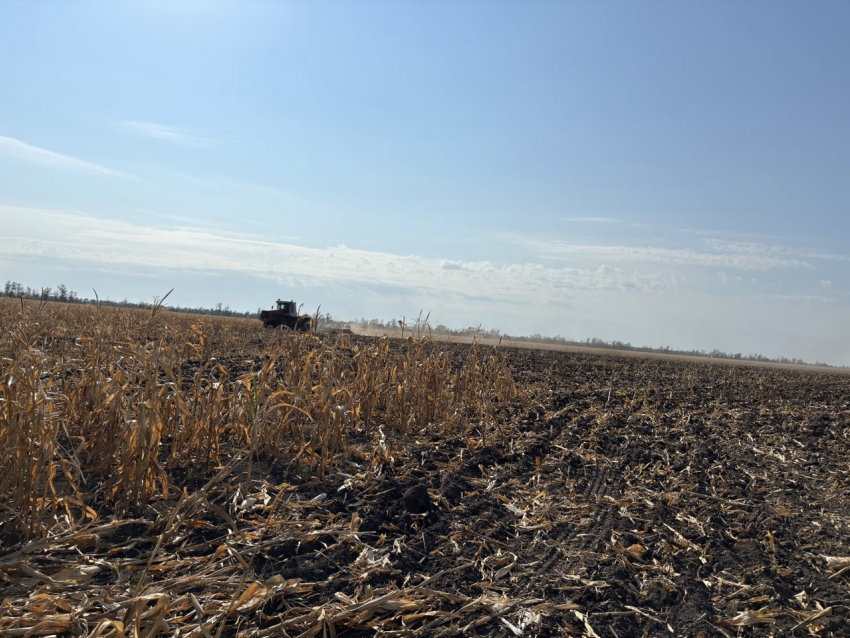 Донским аграриям направят почти 2 млрд рублей господдержки до июня