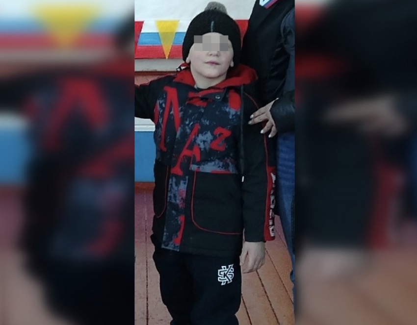 Пропавшего в Шолоховском районе мальчика нашли живым