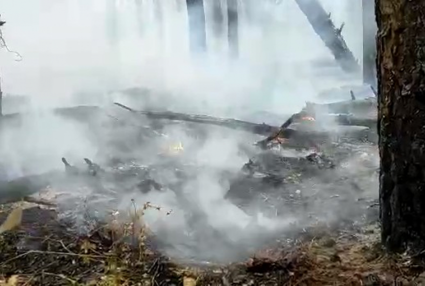 В Ростовской области увеличилась площадь пожара в лесничестве