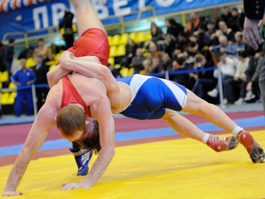 Донские борцы завоевали шесть медалей на чемпионате России 