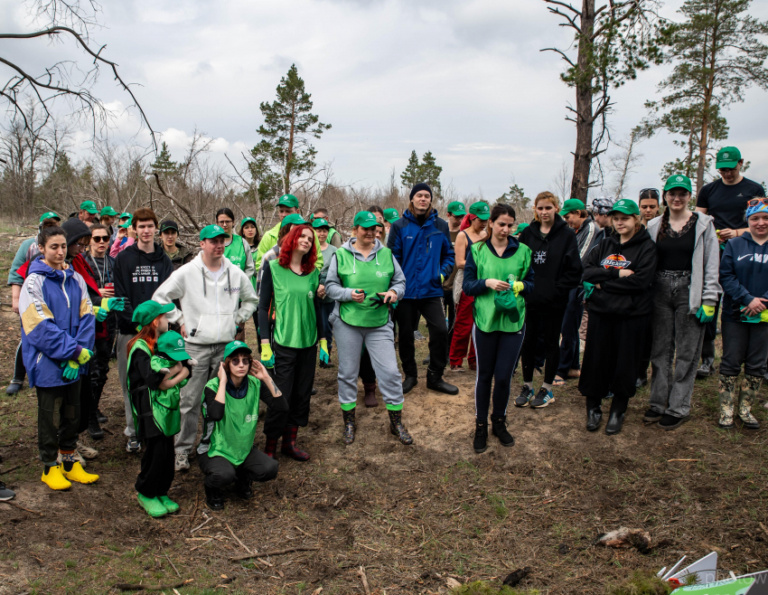 После пожара 2017 года в Ростовской области восстановили лес 