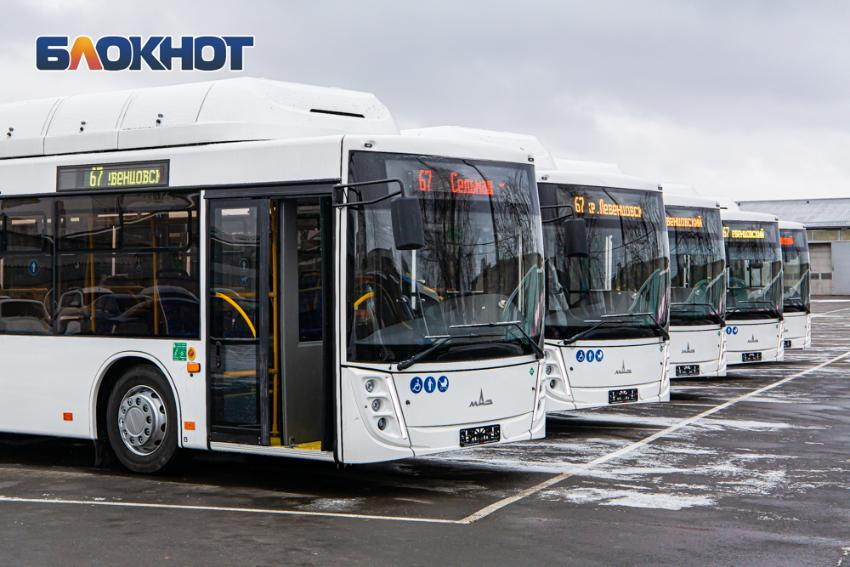 «Ростовпассажиртранс» планирует закупить 90 автобусов в лизинг, хотя нехватка водителей составляет 51%