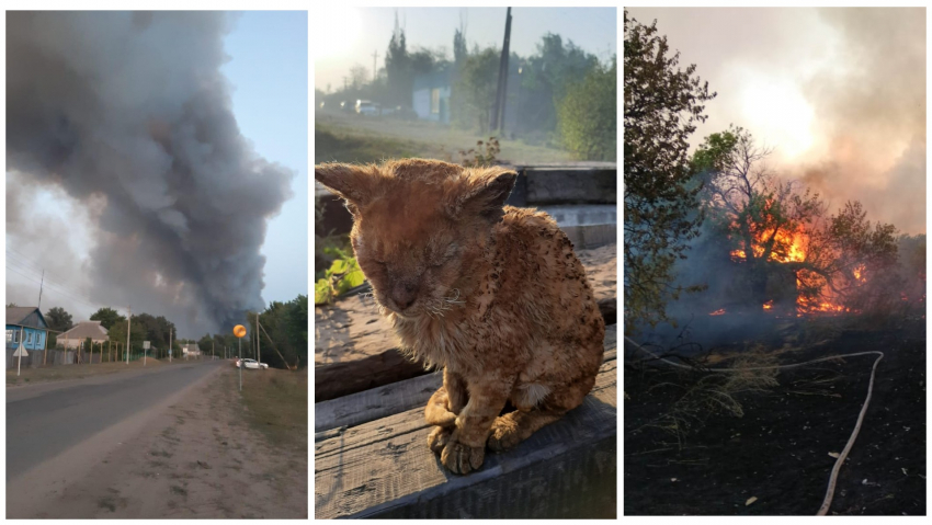«Никто не спал этой ночью»: погорельцы — о том, что происходило на пожарах в Ростовской области