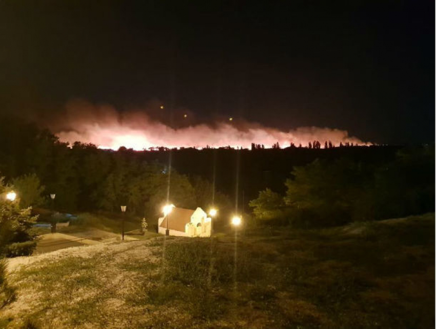 Под Ростовом выгорела часть природного парка «Донской"