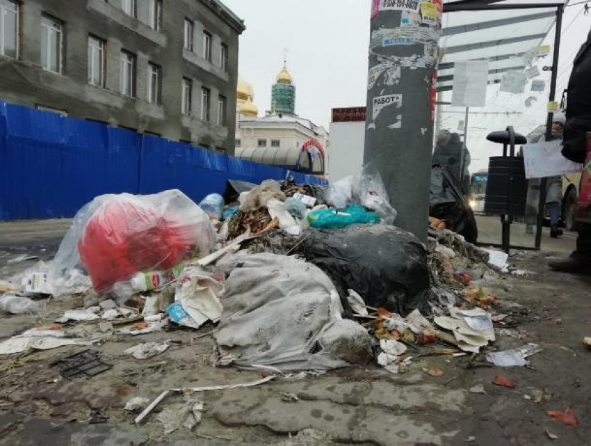 Ростов-на-Дону примет участие во всероссийской акции против «мусорной» реформы