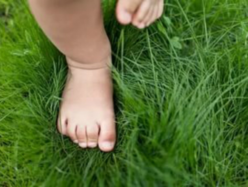 Пропавшего вечером 4-летнего мальчика утром обнаружили спящим в траве в Ростовской области