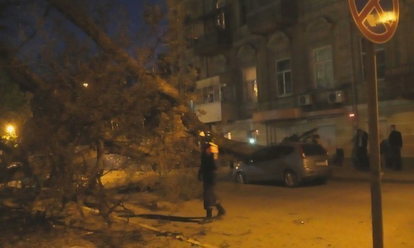 В Ростове упавшее дерево повредило машину и перекрыло дорогу