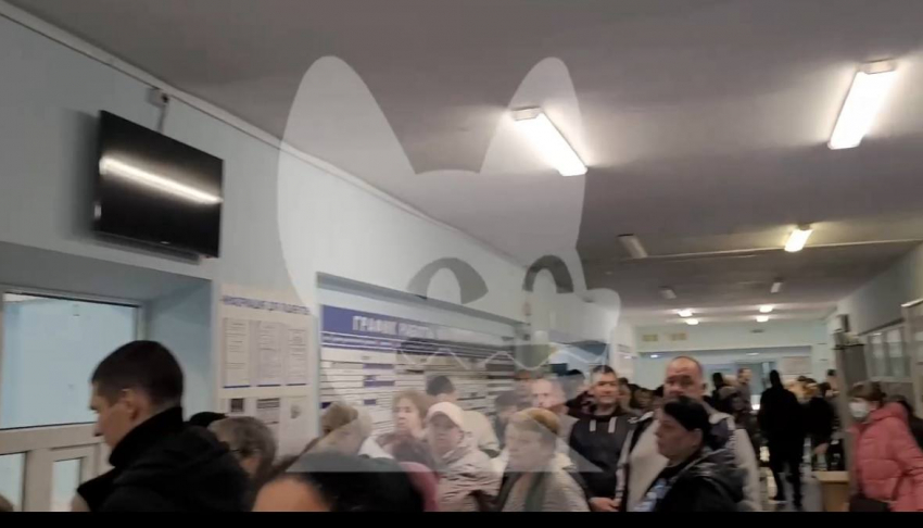 Депутат Госдумы написала жалобу на ростовскую больницу в Минздрав