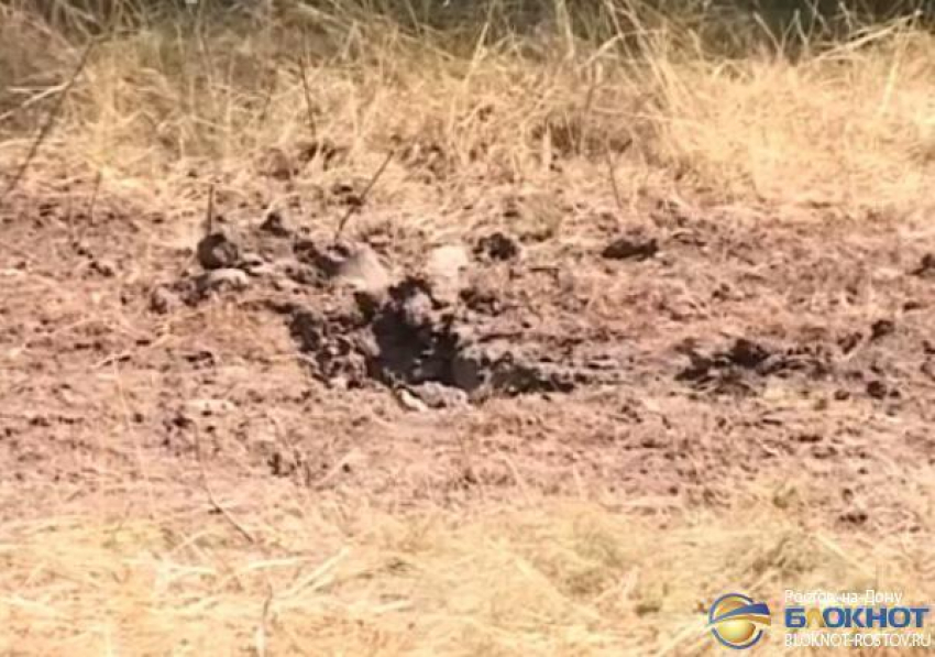 В Ростовской области обнаружены восемь воронок от разорвавшихся украинских снарядов
