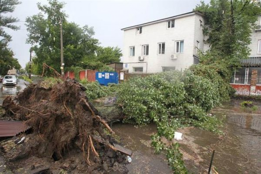 5 тысяч таганрожцев, пострадавших от прошлогоднего урагана, получили компенсации