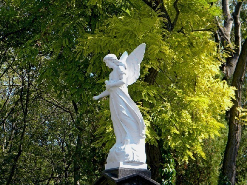Кладбище в Таганроге начнут показывать туристам 