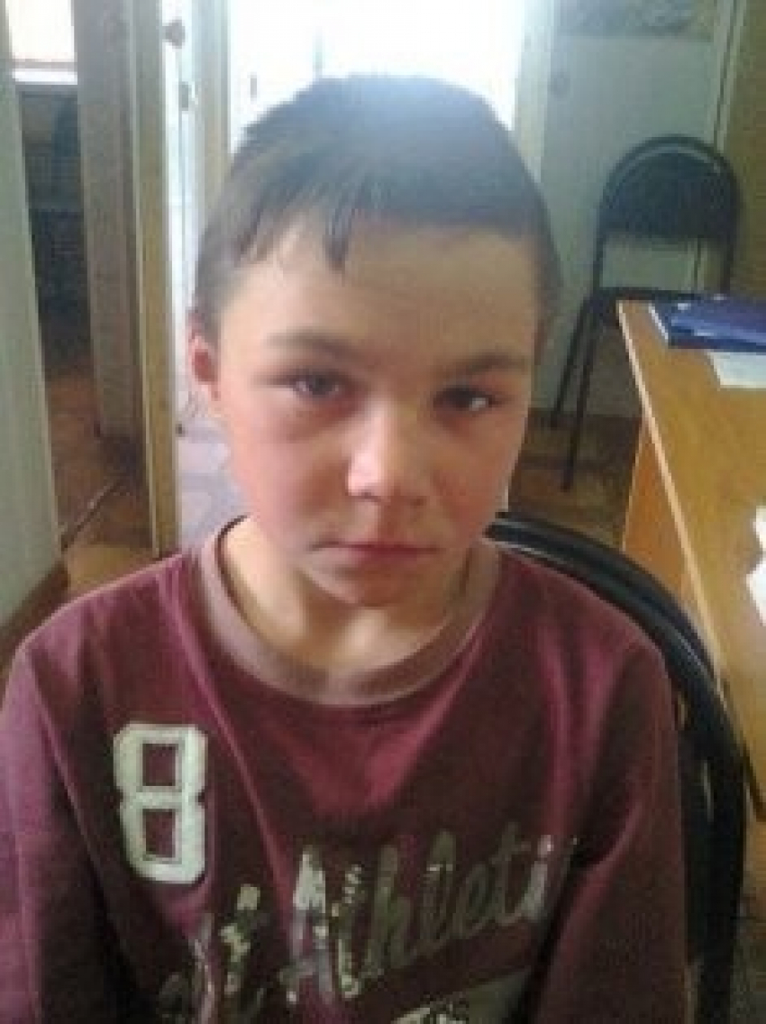 Братья, сбежавшие из больницы в Зерноградском районе, соскучились по дому 