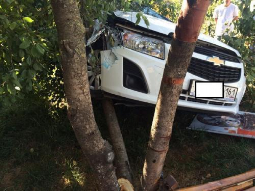 Иномарка в Батайске «приземлилась» на дерево 