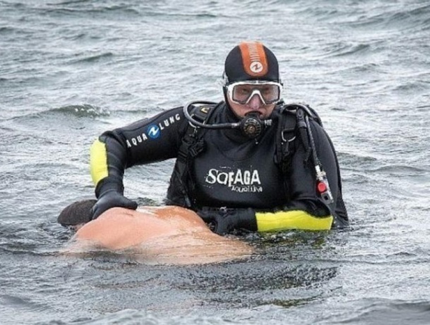 Водолазы подняли со дна Черного моря мертвого ростовчанина 