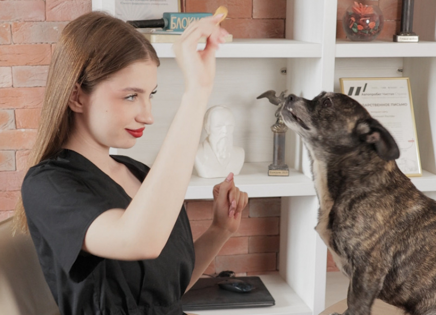 «Обнимашки и вкусняшки»: модель «Блокнот Ростов» вылечила собаку Изюмку