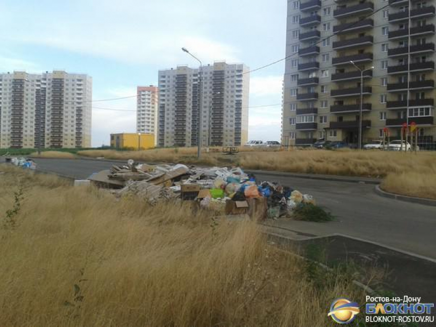 В Ростове новый микрорайон Суворовский утопает в мусоре и зарослях амброзии