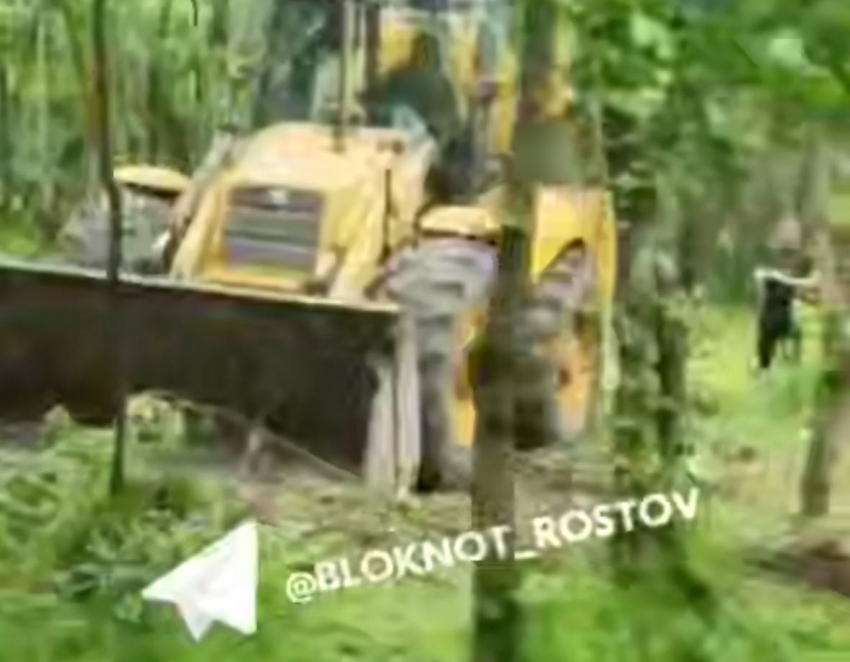 Бастрыкин поставил на контроль вопрос о вырубке рощи в донском хуторе 