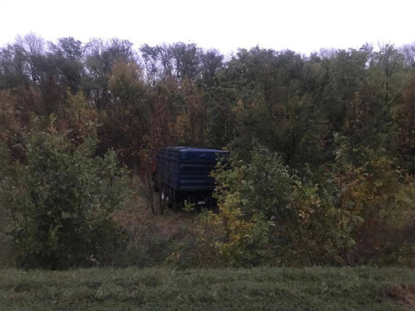 На трассе в Ростовской области при столкновении грузовика и «Газели» погиб мужчина