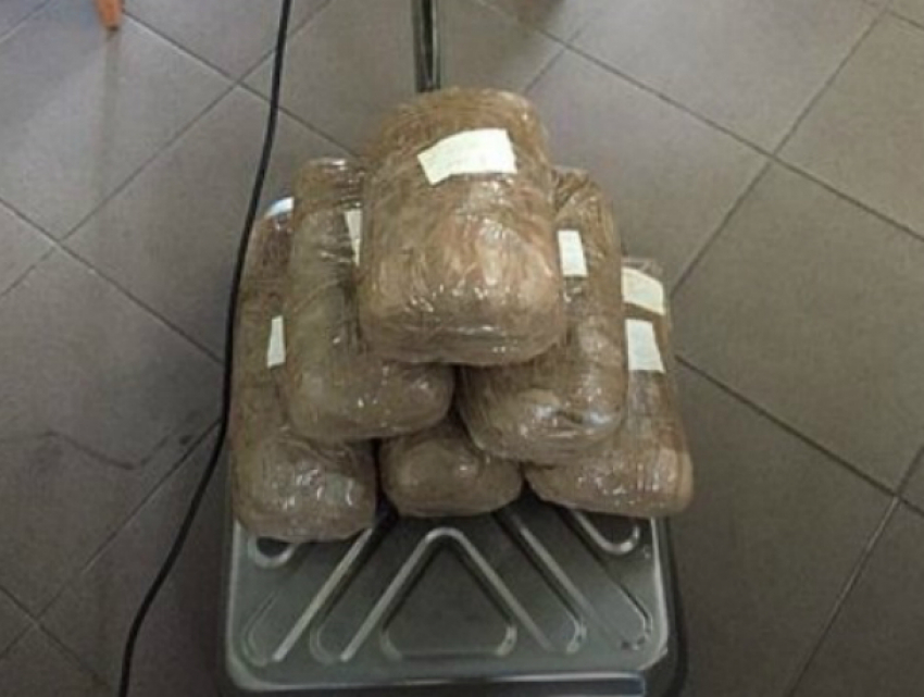 Контрабандный «солнечный камень» в фуре с мясом попытались вывезти из Калининграда в Ростов