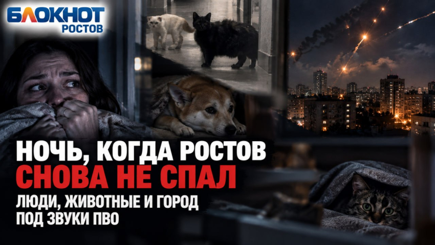 Ночь, когда Ростов снова не спал: люди, животные и город под звуки ПВО