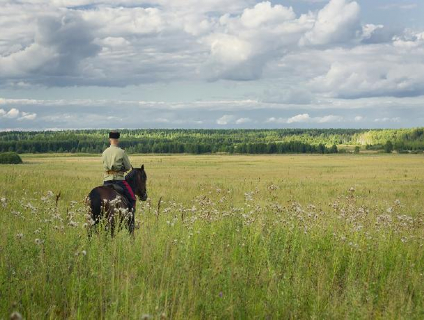 Чиновница в Ростовской области незаконно отдала землю казакам
