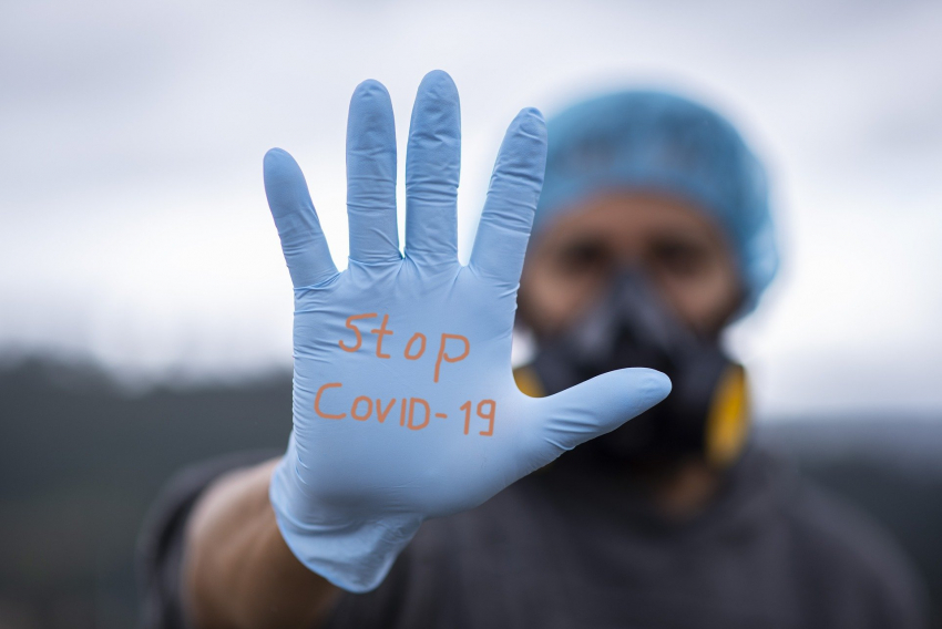 Наибольшее число случаев коронавируса выявили в Ростове и Неклиновском районе